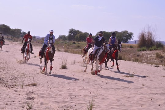 Tour image 7